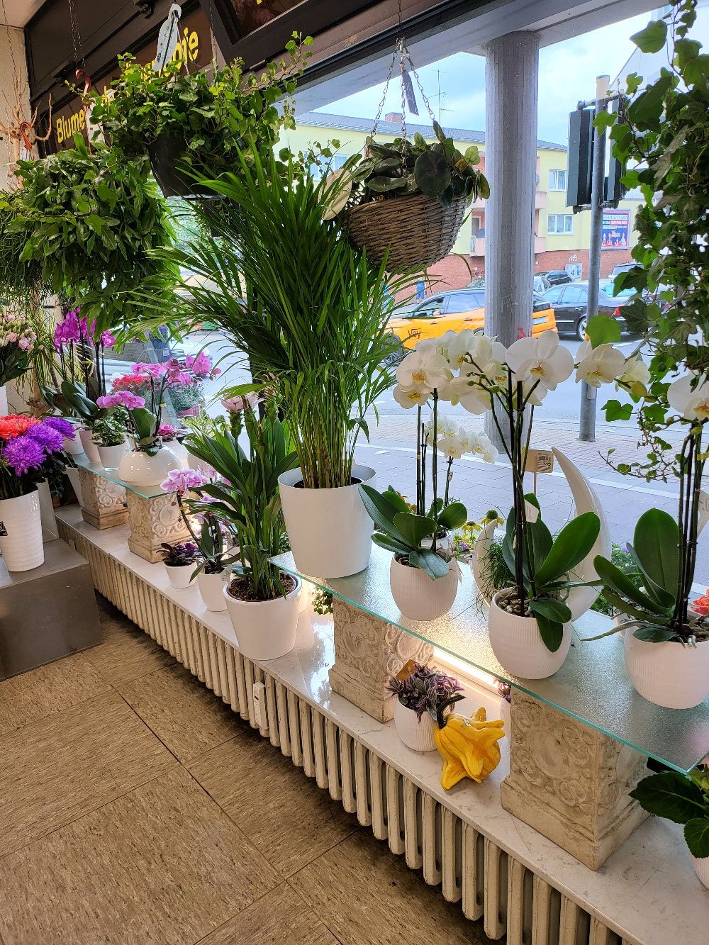 Einblick in den Laden der Vingster Blumen Ecke in Köln-Vingst