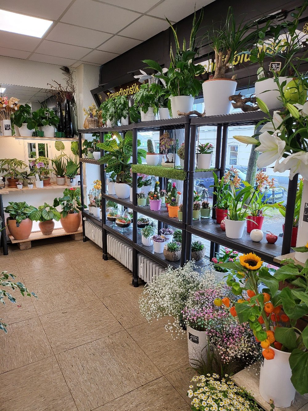 Einblick in den Laden der Vingster Blumen Ecke in Köln-Vingst