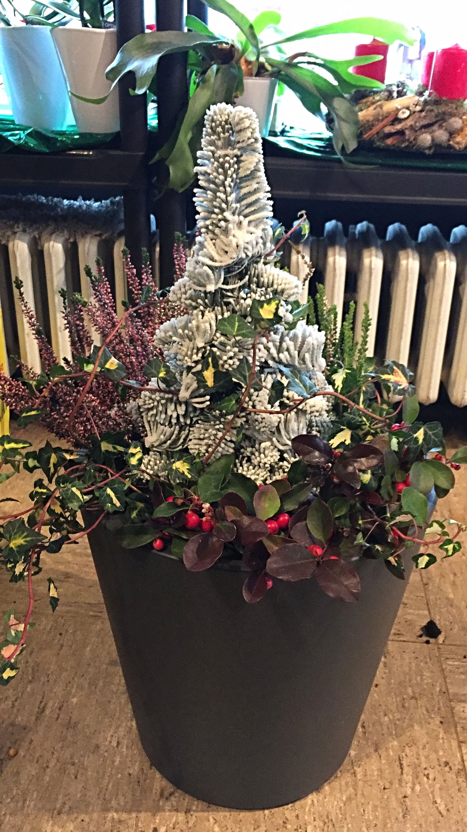 Pflanze oder Gesteck aus der Vingster Blumen Ecke
