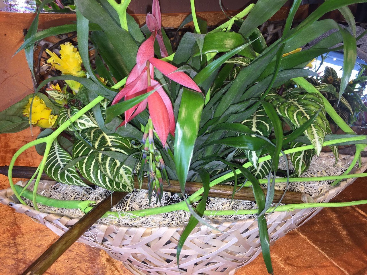 „Regenwald Fantasy“ – Gesteck aus der Vingster Blumen Ecke
