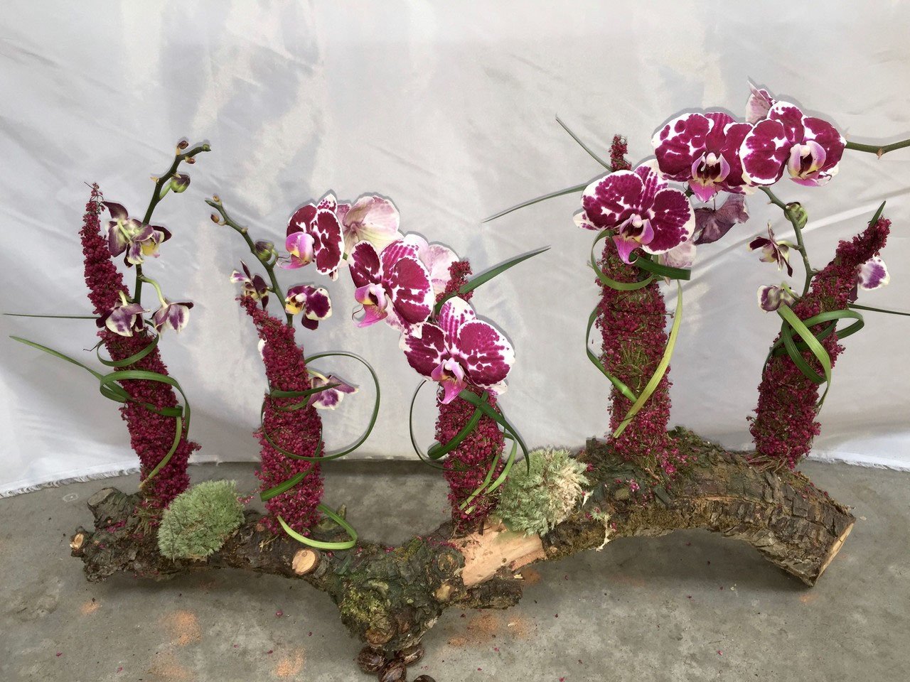 Pflanze oder Gesteck aus der Vingster Blumen Ecke