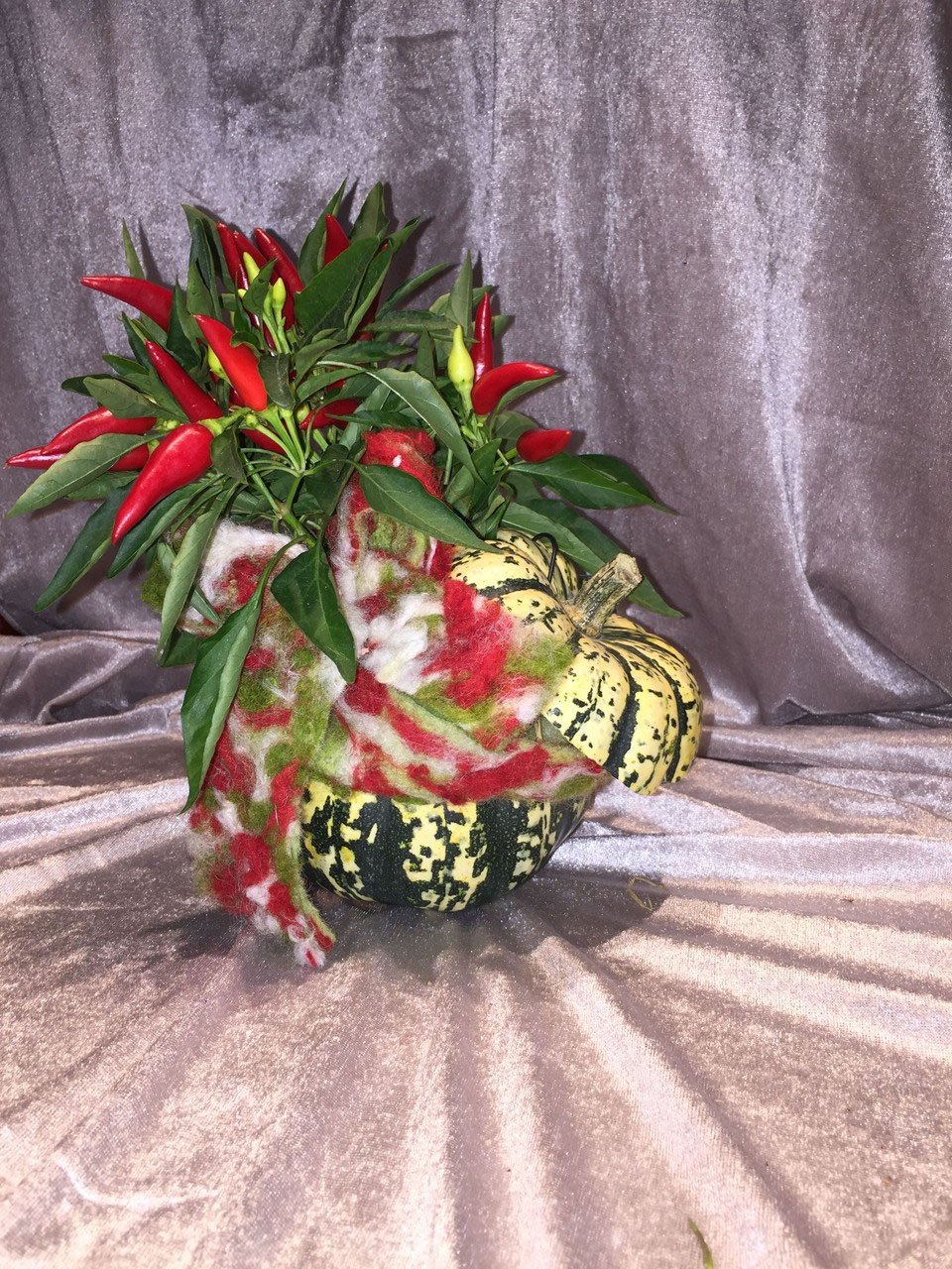Pflanze oder Gesteck aus der Vingster Blumen Ecke