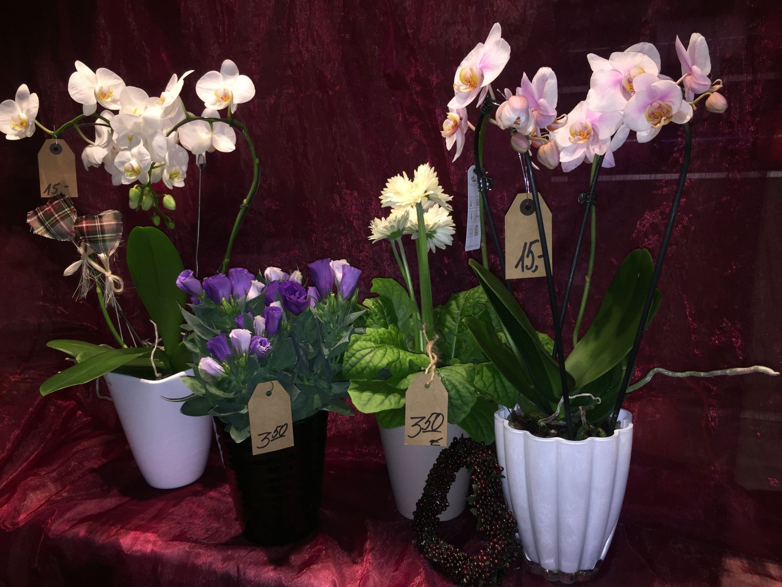 Pflanze oder Gesteck aus der Vingster Blumen Ecke
